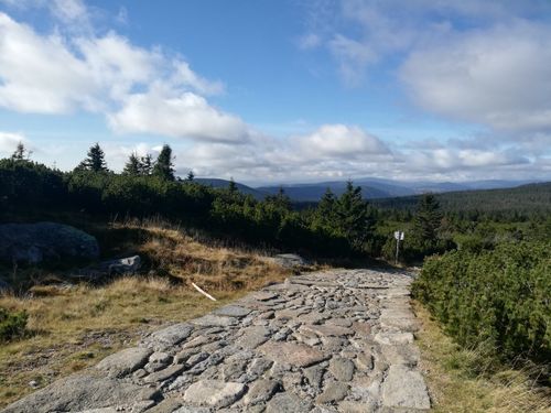Free Discover the scenic stone path and lush greenery of Karkonosze National Park, Poland. Stock Photo