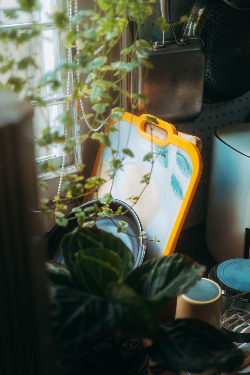 A beautifully lit kitchen corner with plants and kitchenware.