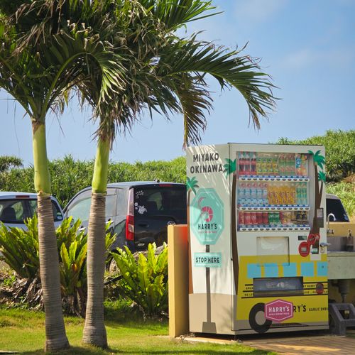 Free Vending machine in a tropical setting on Miyakojima Island, Okinawa, Japan, under palm trees. Stock Photo