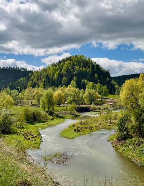 Free Peaceful river valley surrounded by lush green forest under blue sky. Stock Photo