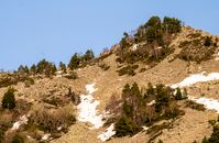 Snow-dusted mountainside with sparse trees under a clear sky in Andorra la Vella.