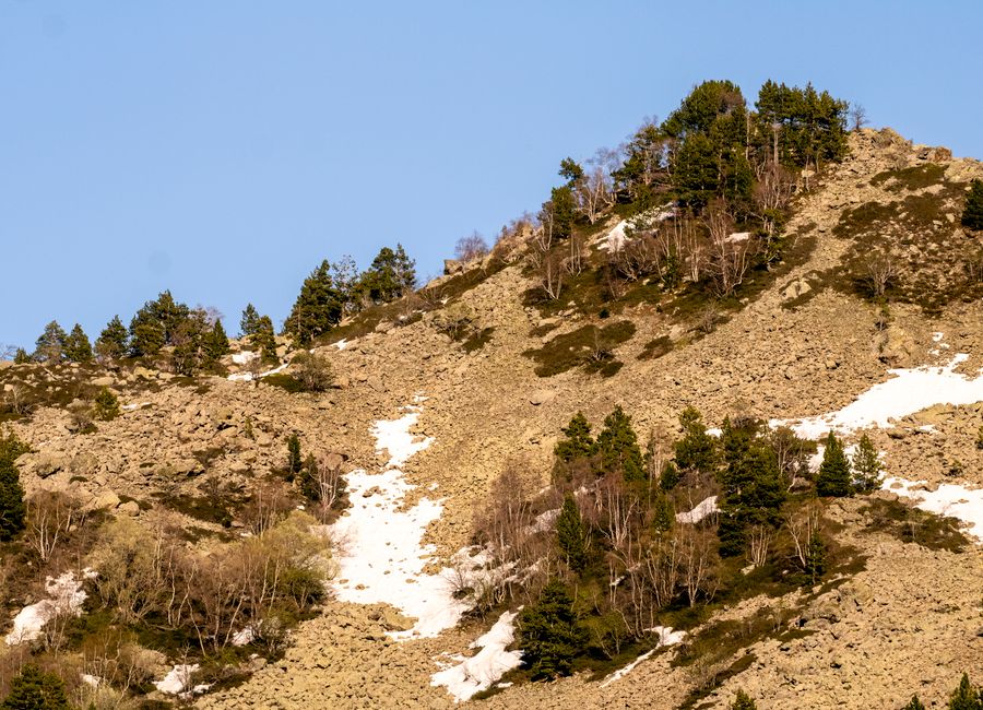 Snow-dusted mountainside with sparse trees under a clear sky in Andorra la Vella.