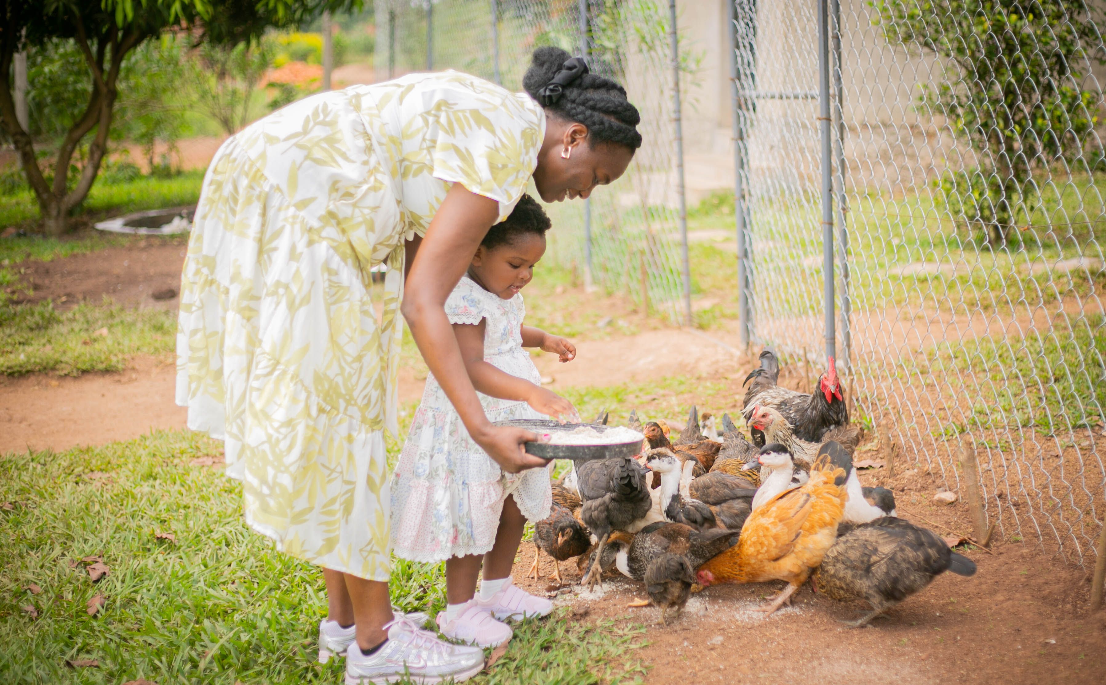 A mother and her young daughter feed a group of chickens outdoors on a sunny day.