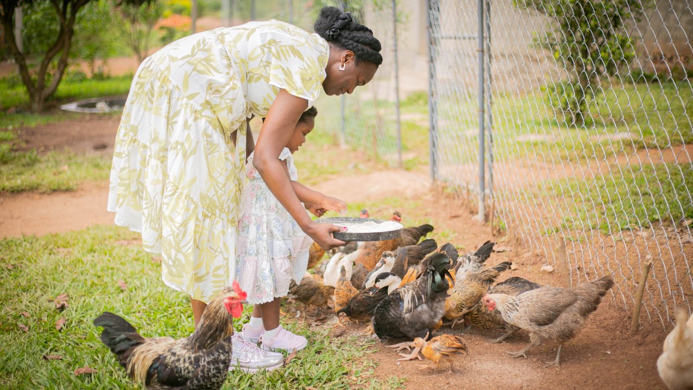 Une éleveuse et un enfant nourrissent des poules dans une ferme