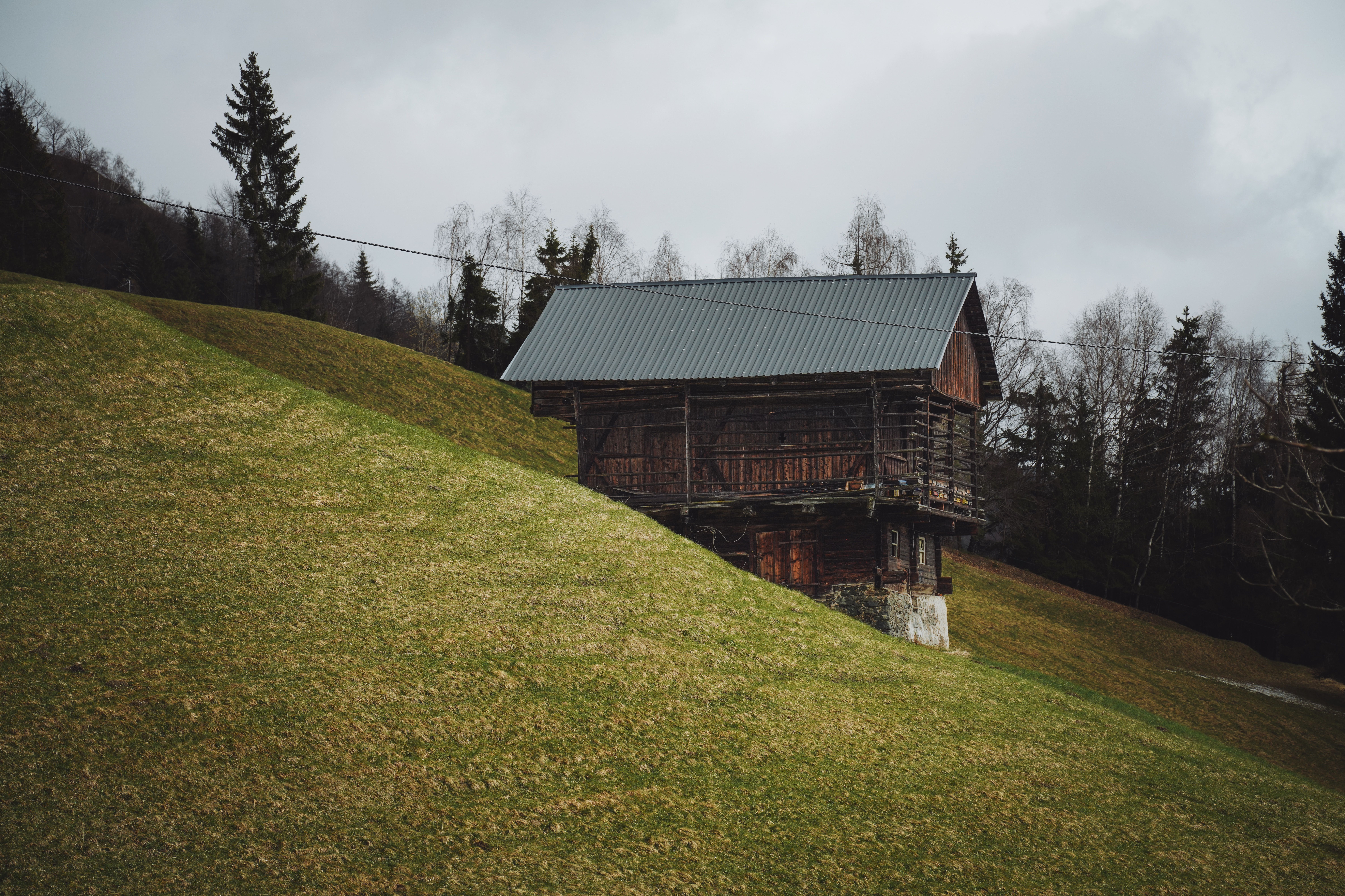 The Rise of Digital Detox Retreats: A New Era of Silence and Solitude