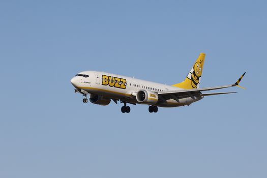 brand buzz