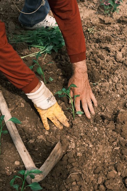 Md Agropecuaria — insumos e apoio ao produtor rural