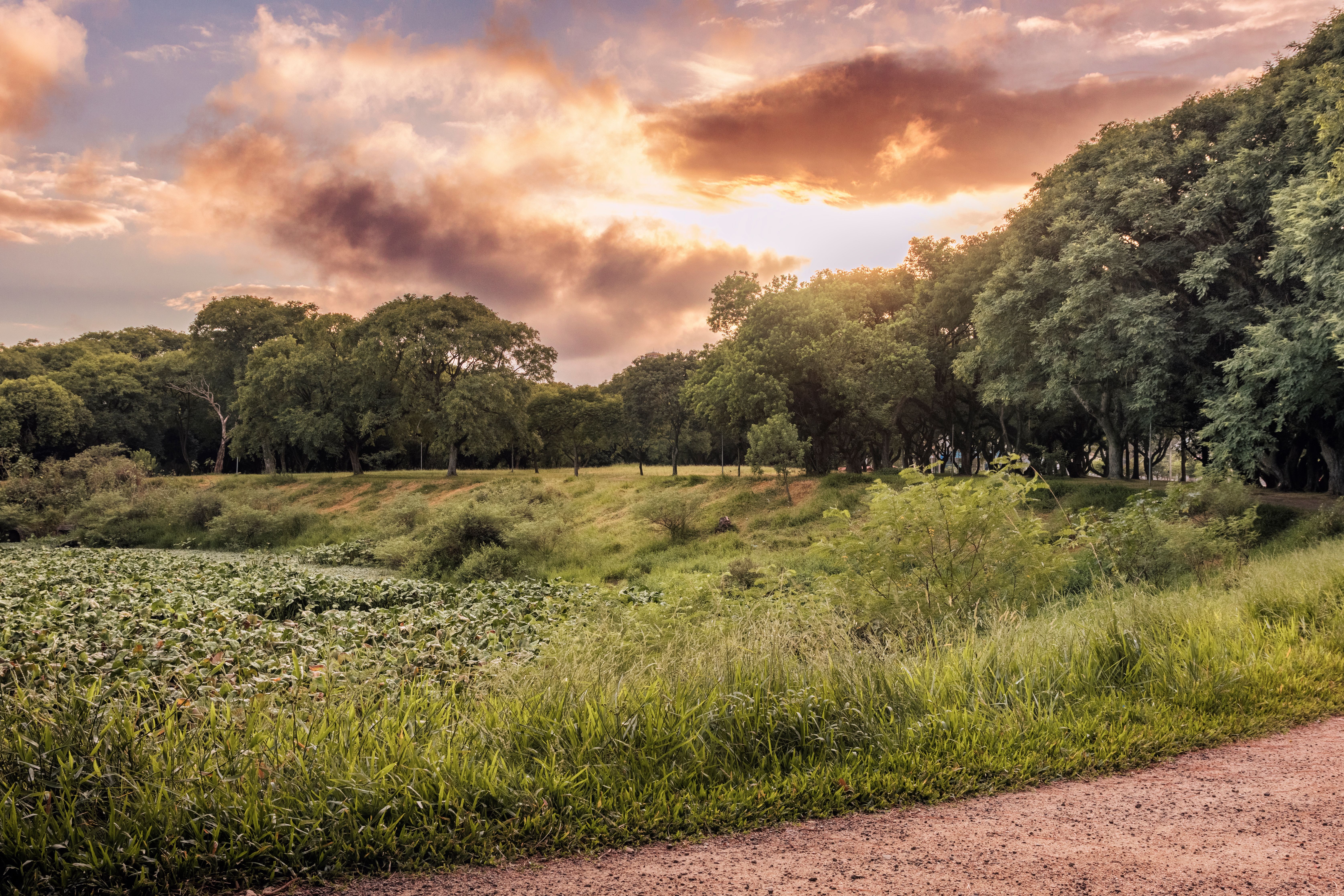 Dallas — Where Dallas actually gets outdoors