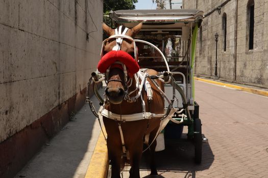 Intramuros old town walking tour — Manila