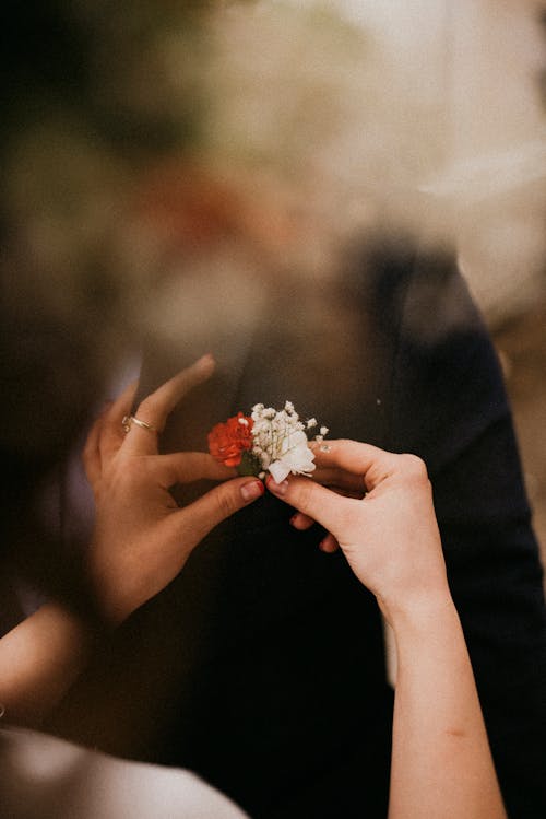Person Holding White and Red Flowers