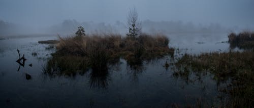 Kostenloses Stock Foto zu dunkle stimmung, herbststimmung, holländische landschaft