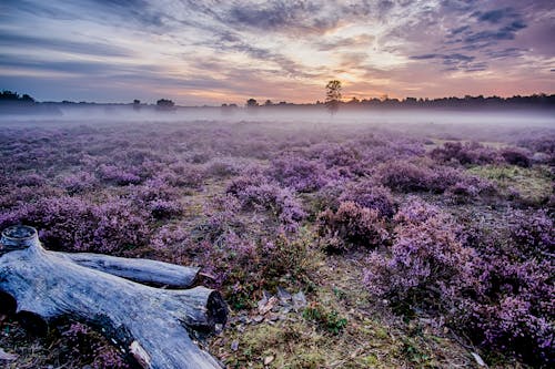 Kostenloses Stock Foto zu hdr, hdr-fotografie, heizungen