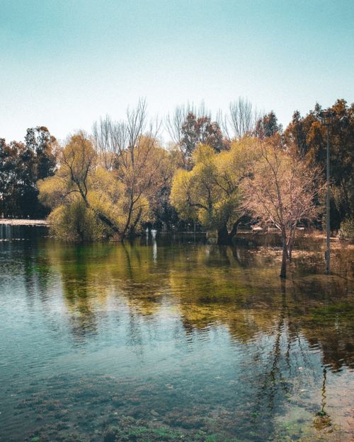 Free A serene view of a lakeside with trees reflecting on calm water, perfect for nature lovers. Stock Photo