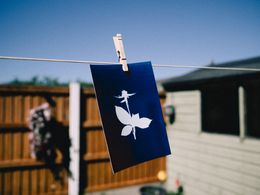 Cyanotype prints pegged to a line outdoors — photo by Lisa Fotios on Pexels