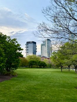 Lush green park in Cambridge with urban skyscrapers in the background during spring.