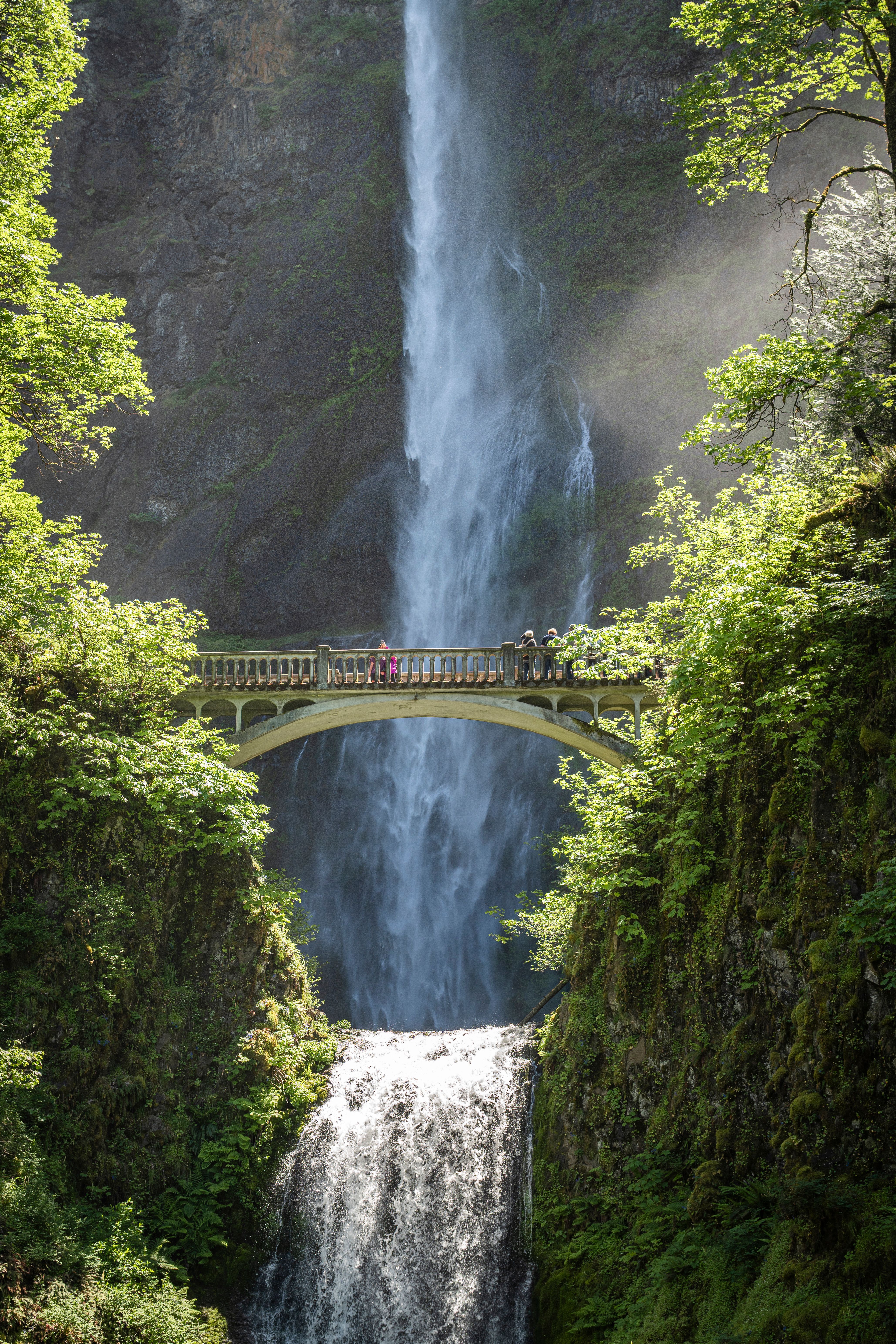Majestic Multnomah Falls with Benson Bridge · Free Stock Photo