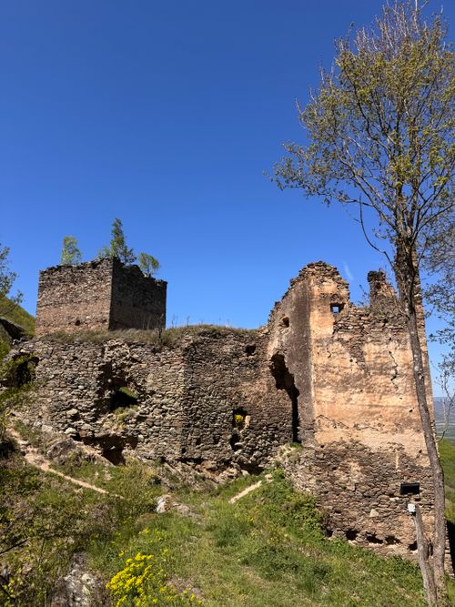 Free Historic castle ruins in Romania surrounded by greenery and clear blue sky, showcasing medieval architecture. Stock Photo