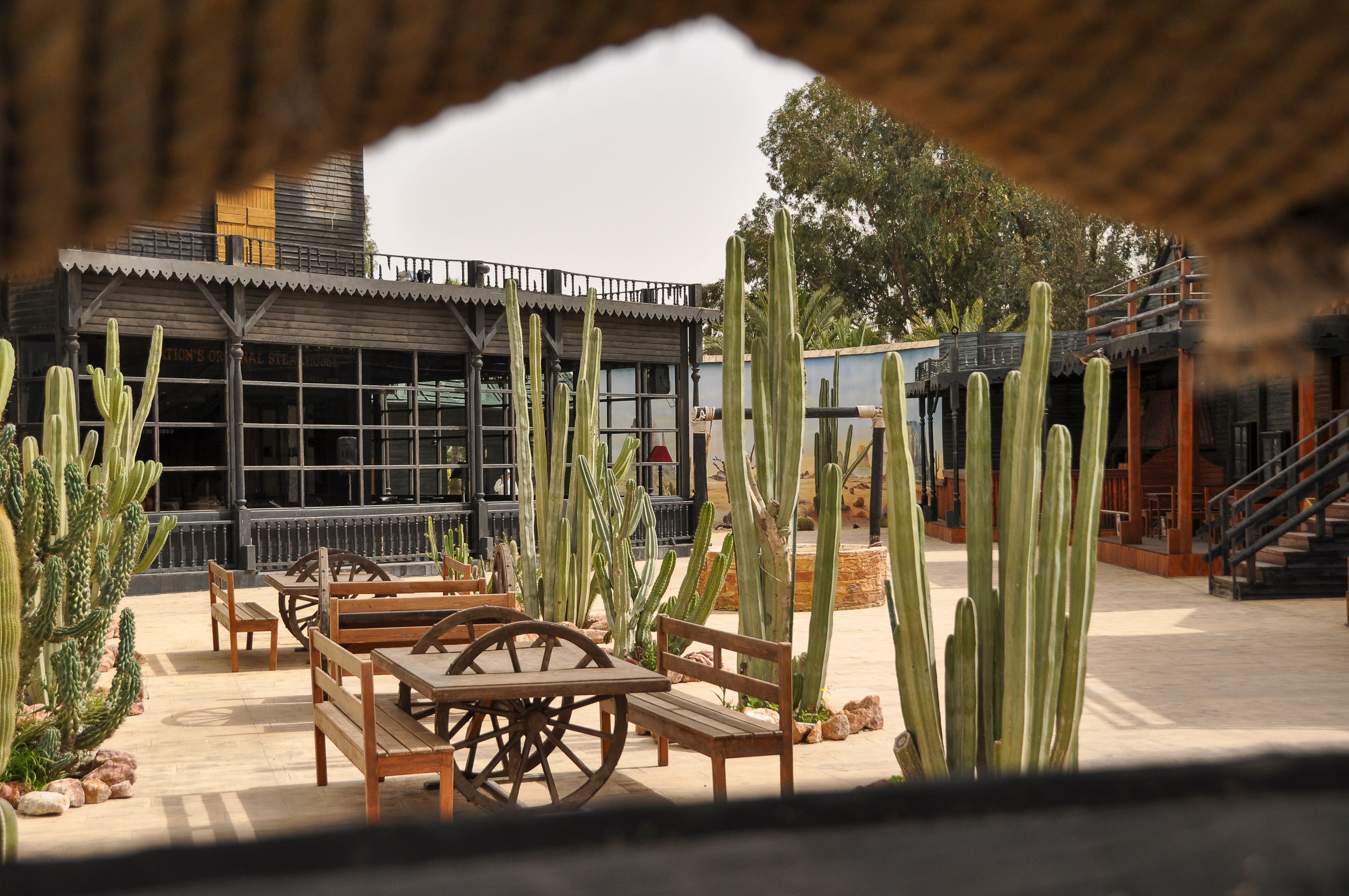 A western-style courtyard with cacti, benches, and wagon wheels in Tunis, Tunisia.