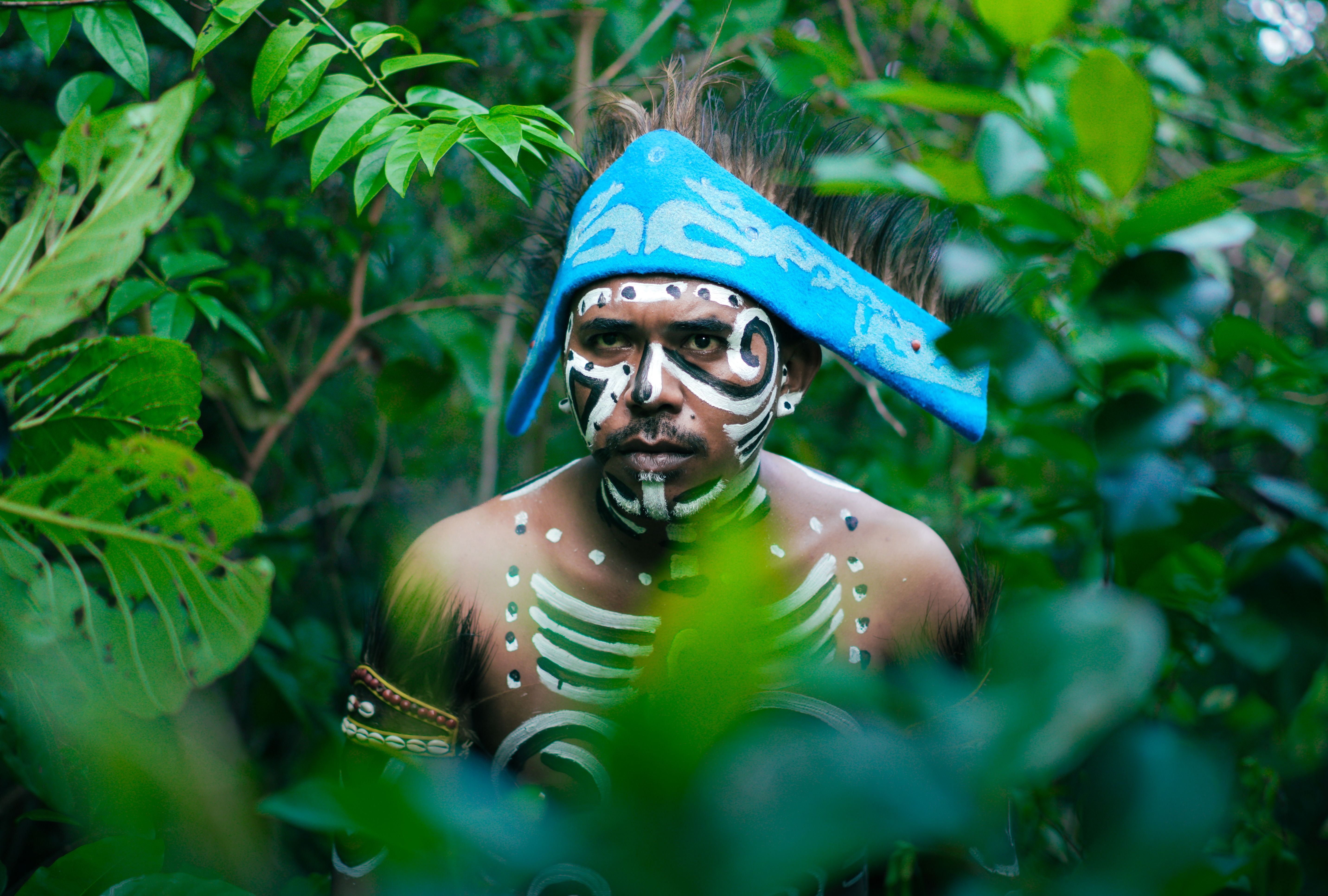 Ancestral variation, not new mutations, may impact survival of species facing climate chan