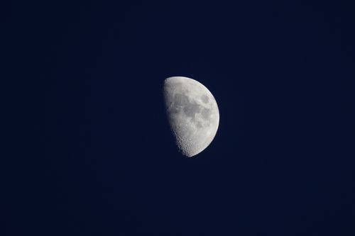 Free A detailed shot of the half moon showcasing its craters against a dark night sky. Stock Photo