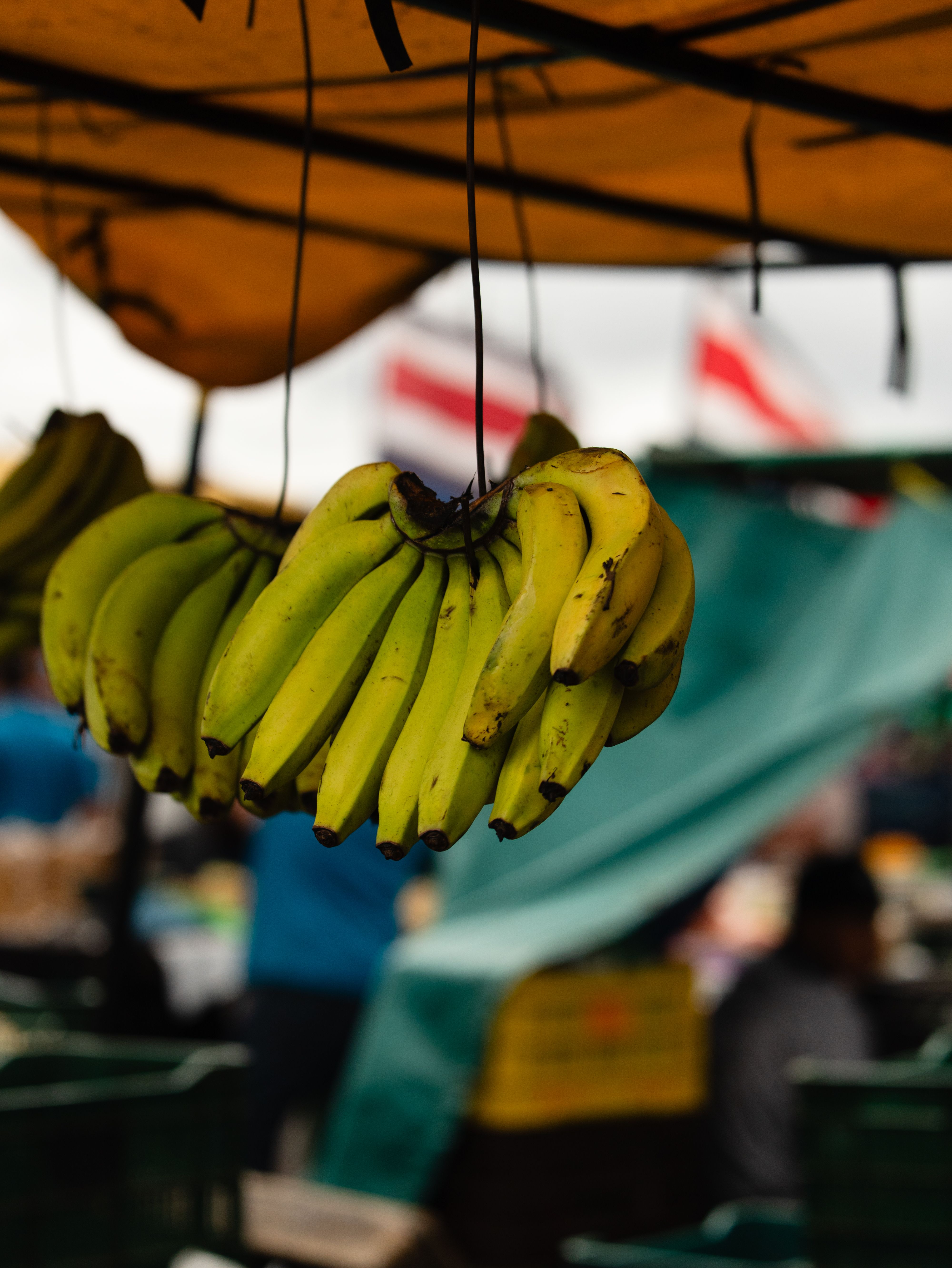 A bunch of ripe bananas suspended in a busy outdoor market, vibrant and enticing.