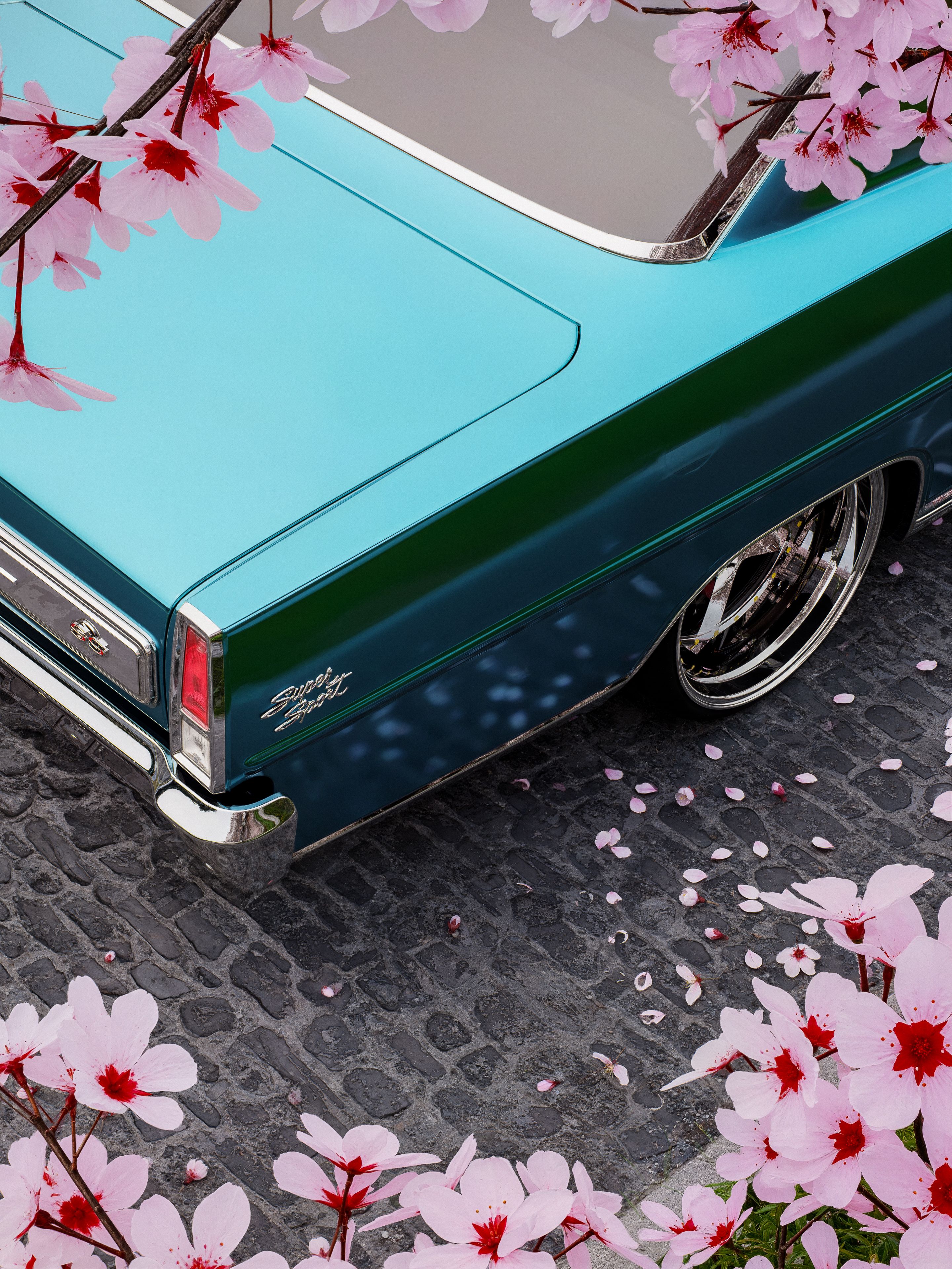 Retro car alongside vibrant pink cherry blossoms on cobblestone street.