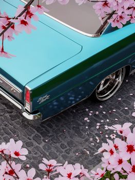 Retro car alongside vibrant pink cherry blossoms on cobblestone street.