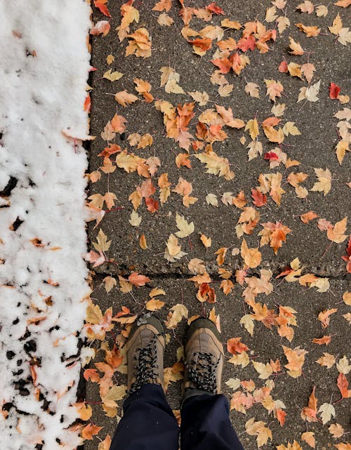 Free From above faceless person in warm boots standing on pavement covered with fallen leaves and fresh snow Stock Photo