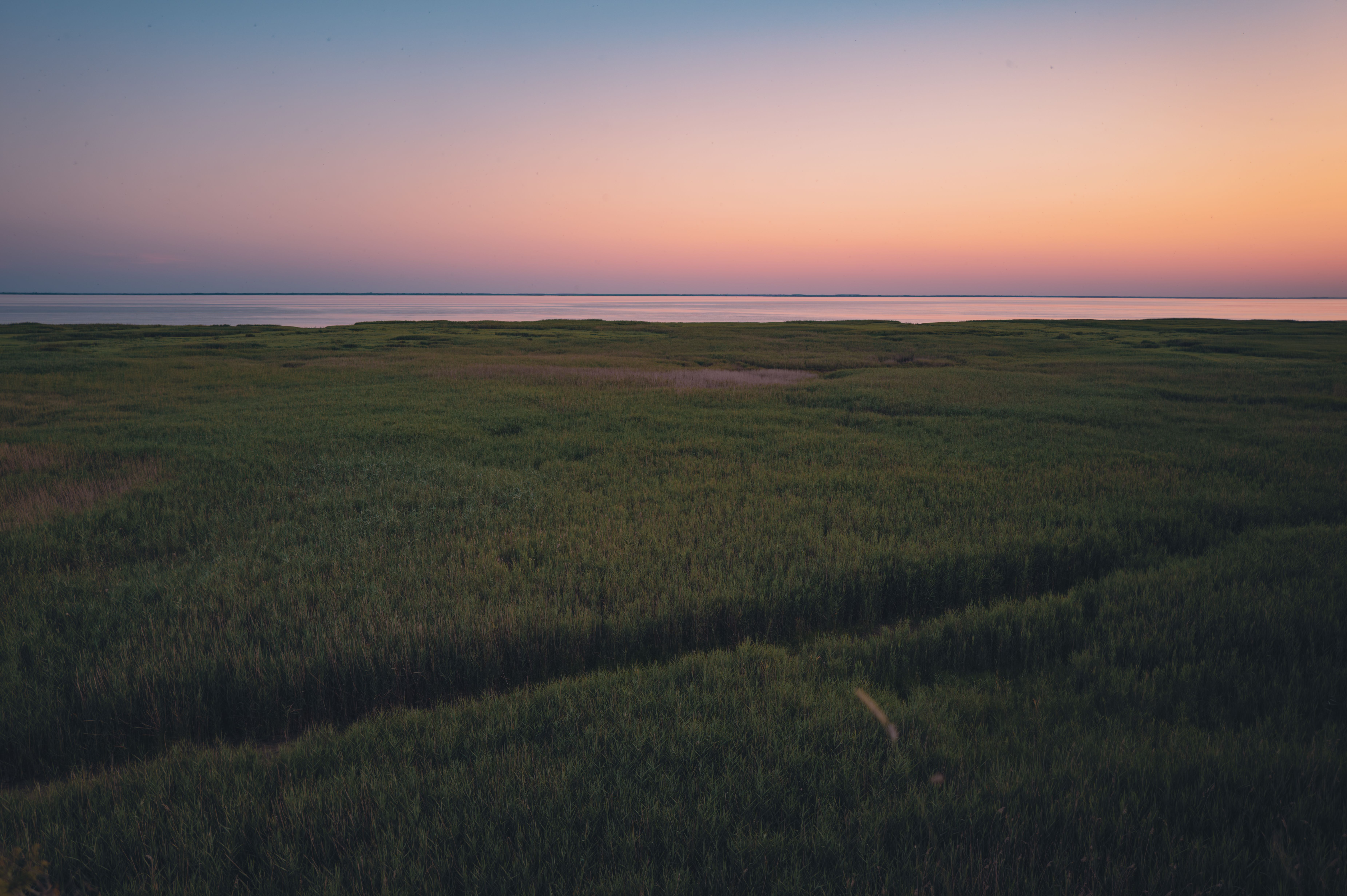 A tranquil sunset over grassy marshlands in Saint-Georges-de-Didonne, France.
