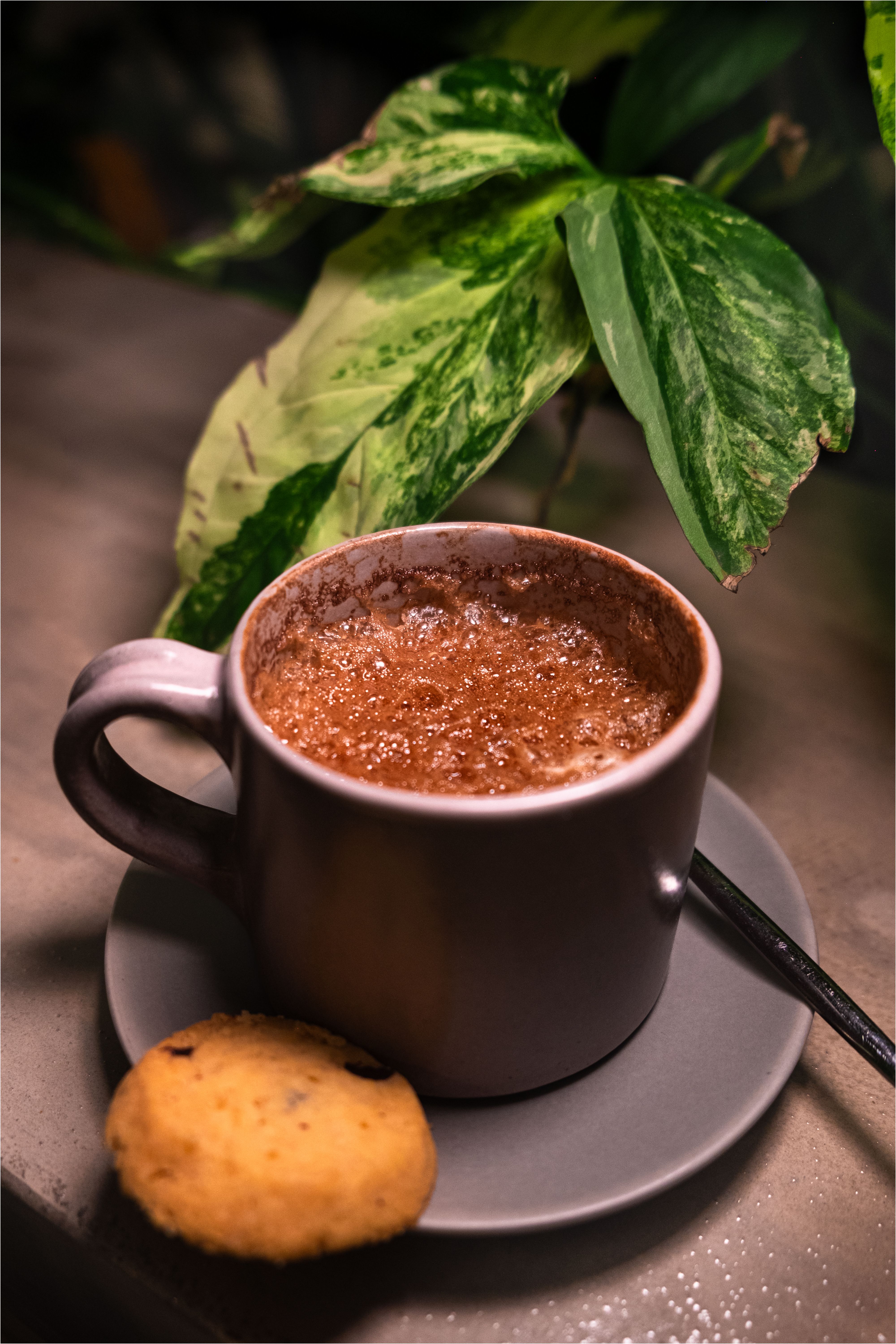 Cozy Hot Chocolate with Cookie in Café Setting · Free Stock Photo