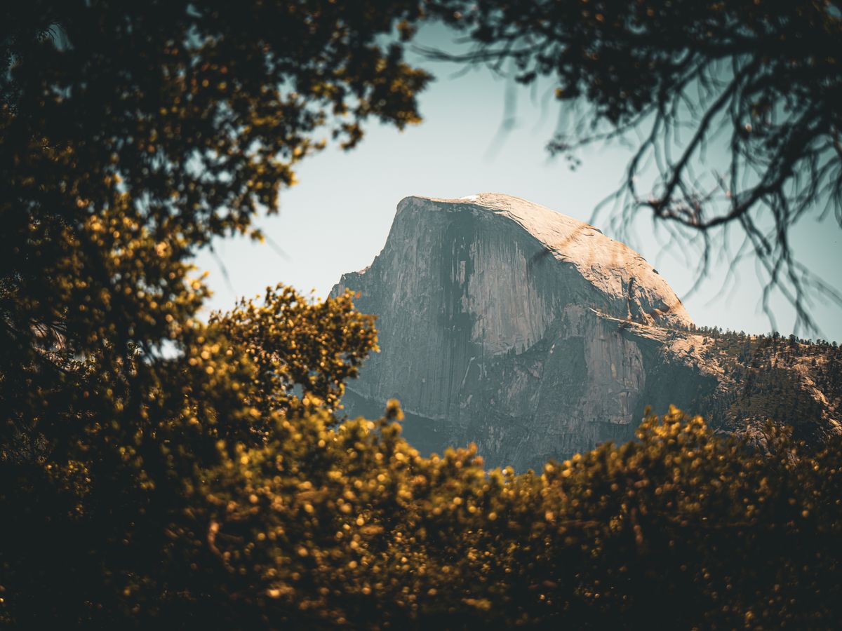 2 Day Soul Reset: Private Healing Retreat in Joshua Tree, US 2