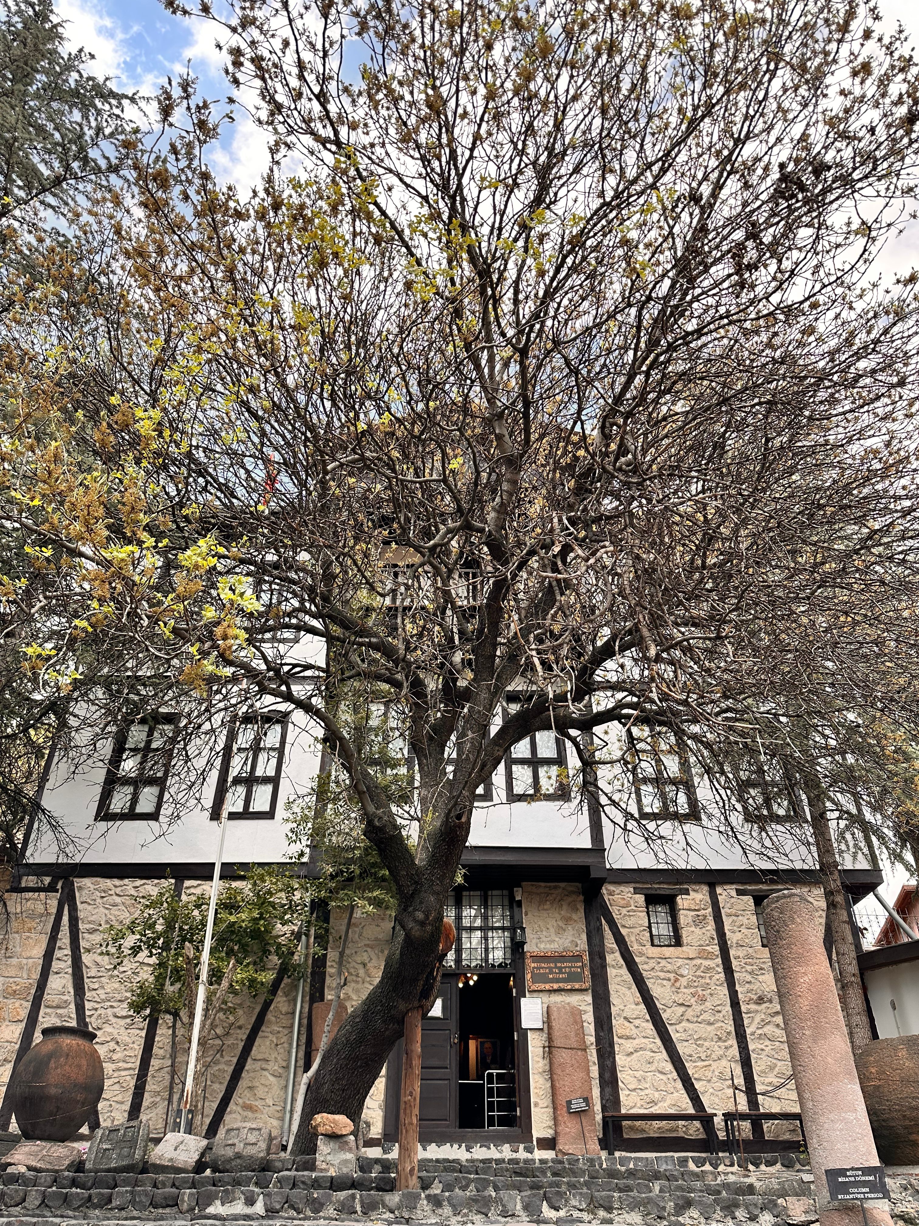 Charming historical building with a large leafless tree against a cloudy sky.