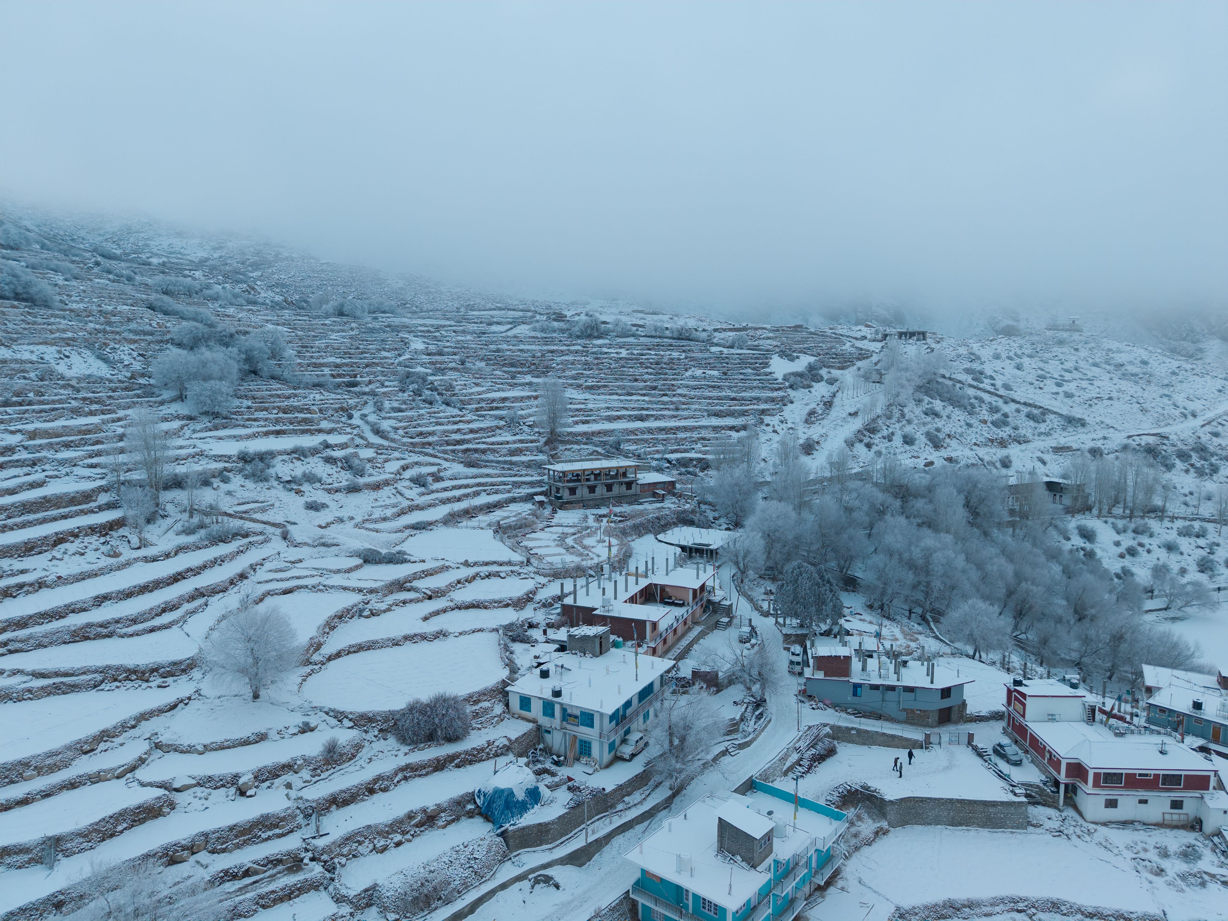 Winter Landscape of Marango Rangarik, India · Free Stock Photo