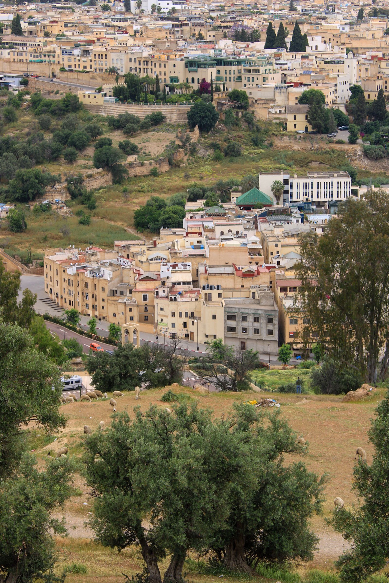 Aerial view of historic Fez medina rooftops