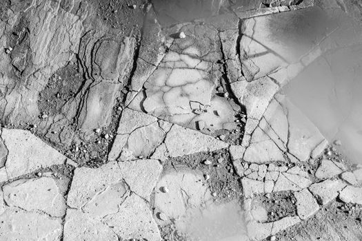 Seismologist