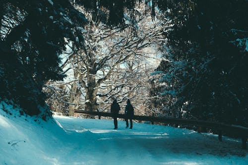 兩人穿著黑大衣在雪覆蓋的道路上行走