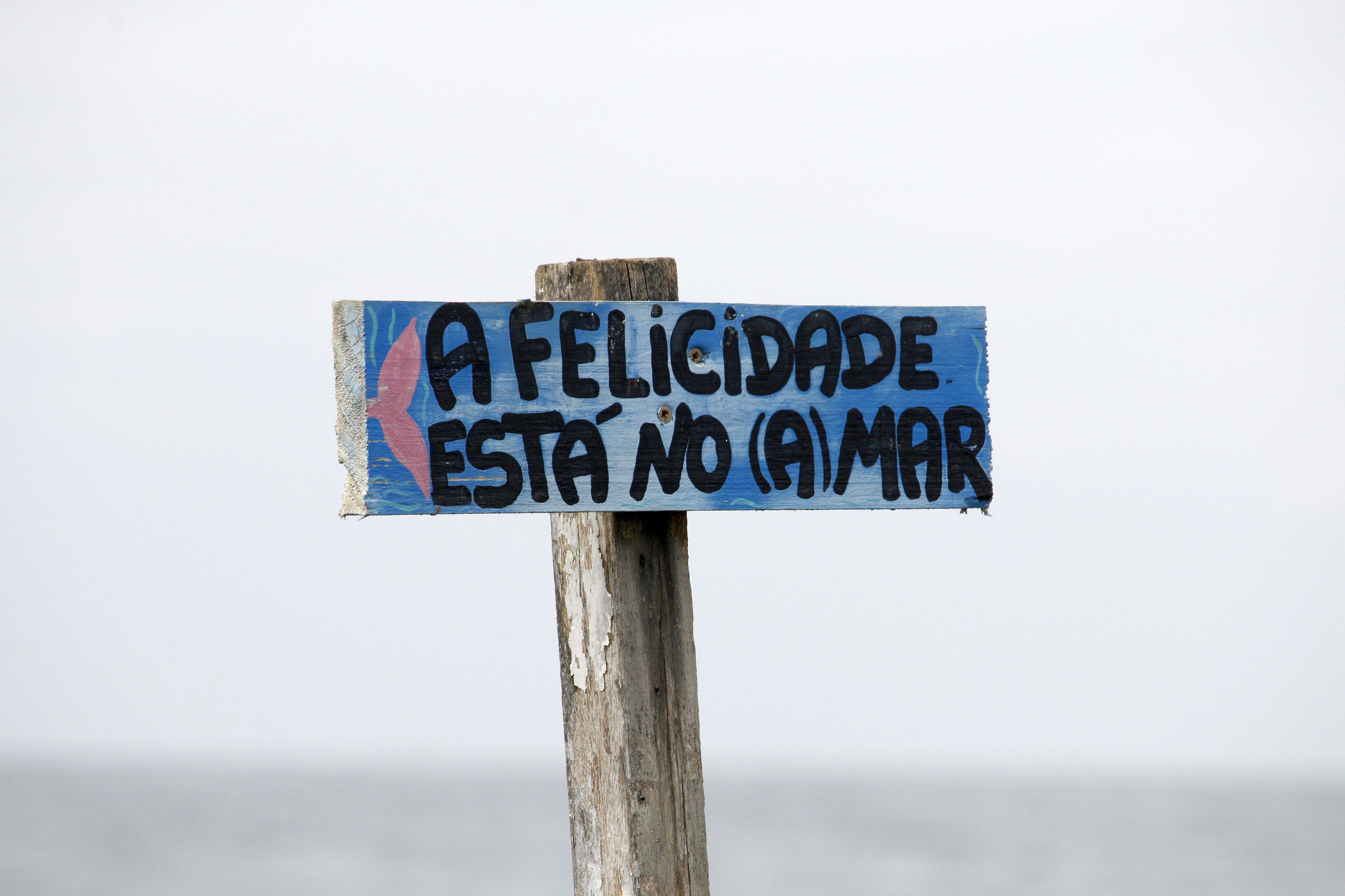 Alerta de Mar Agitado na Paraíba: Ondas de até 3,5 metros Preocupam Navegantes