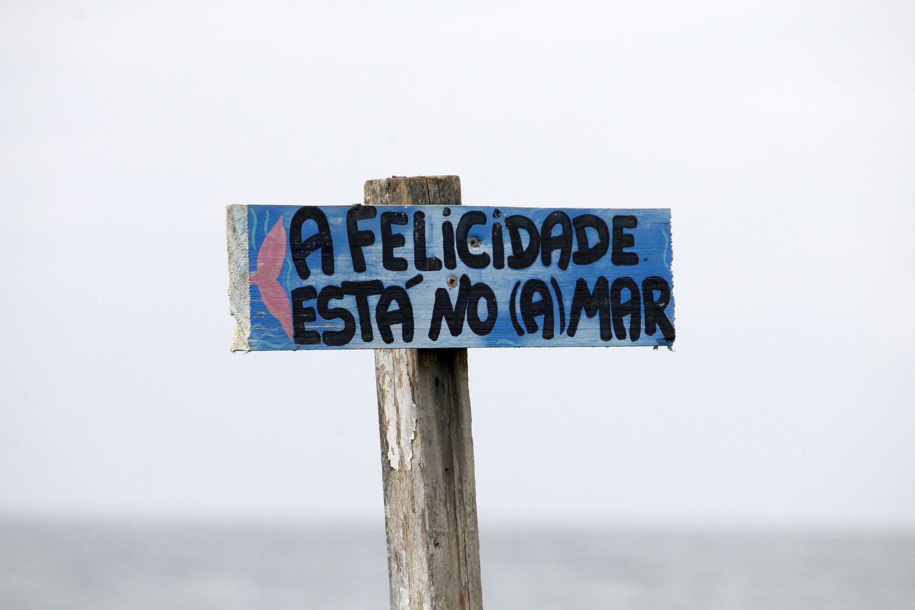 Alerta de Mar Agitado na Paraíba: Ondas de até 3,5 metros Preocupam Navegantes