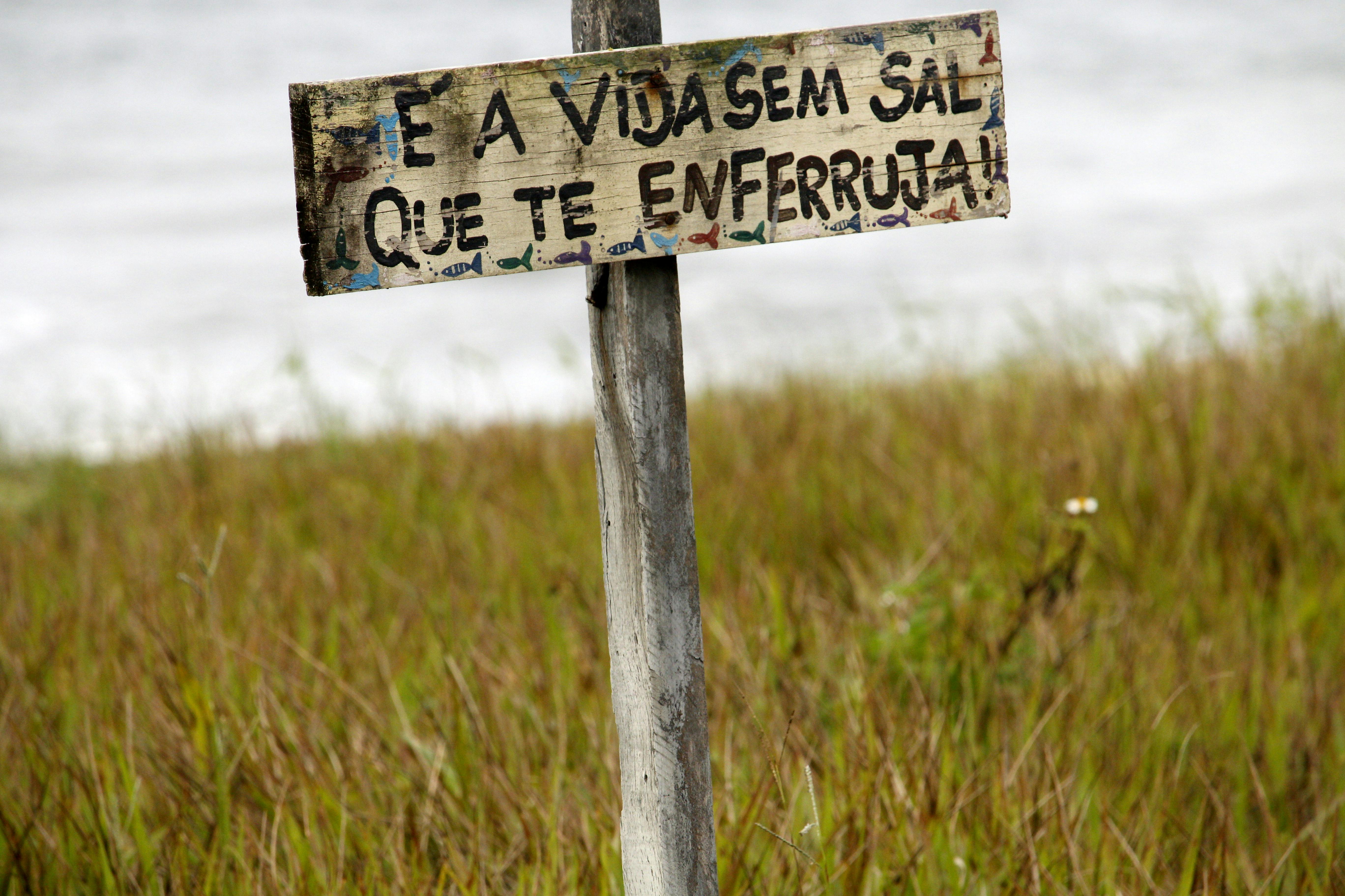 Panorama da Saúde: Febre Amarela, Câncer de Mama e Água Contaminada