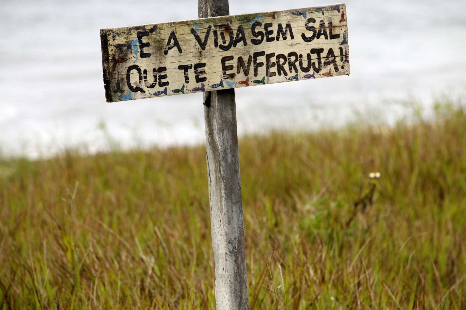 Panorama da Saúde: Febre Amarela, Câncer de Mama e Água Contaminada