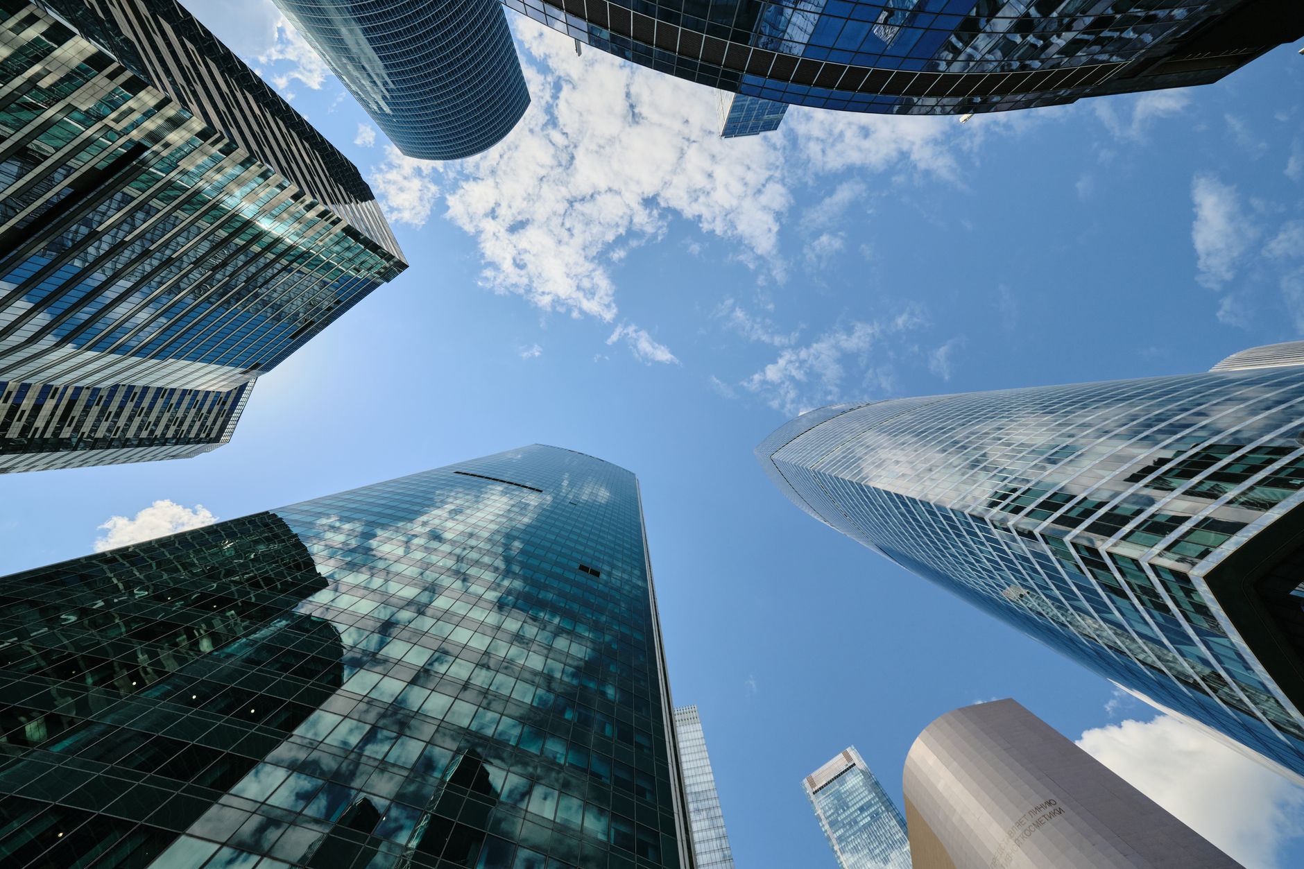How Professional Services Firms Can Grow in an AI-Disrupted Market