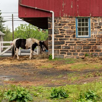 Agricultural Buildings