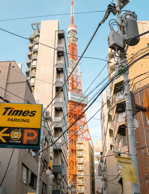 When to Go: The Ultimate Guide to the Best Time to Visit Tokyo