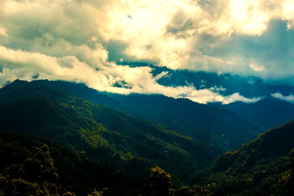 Elena Sanchez Moreno