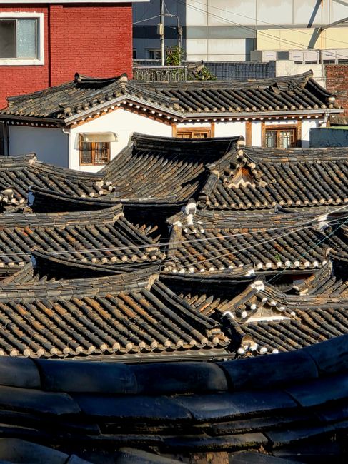 조선시대 사람들의 삶과 죽음, 평균 수명은? 0
