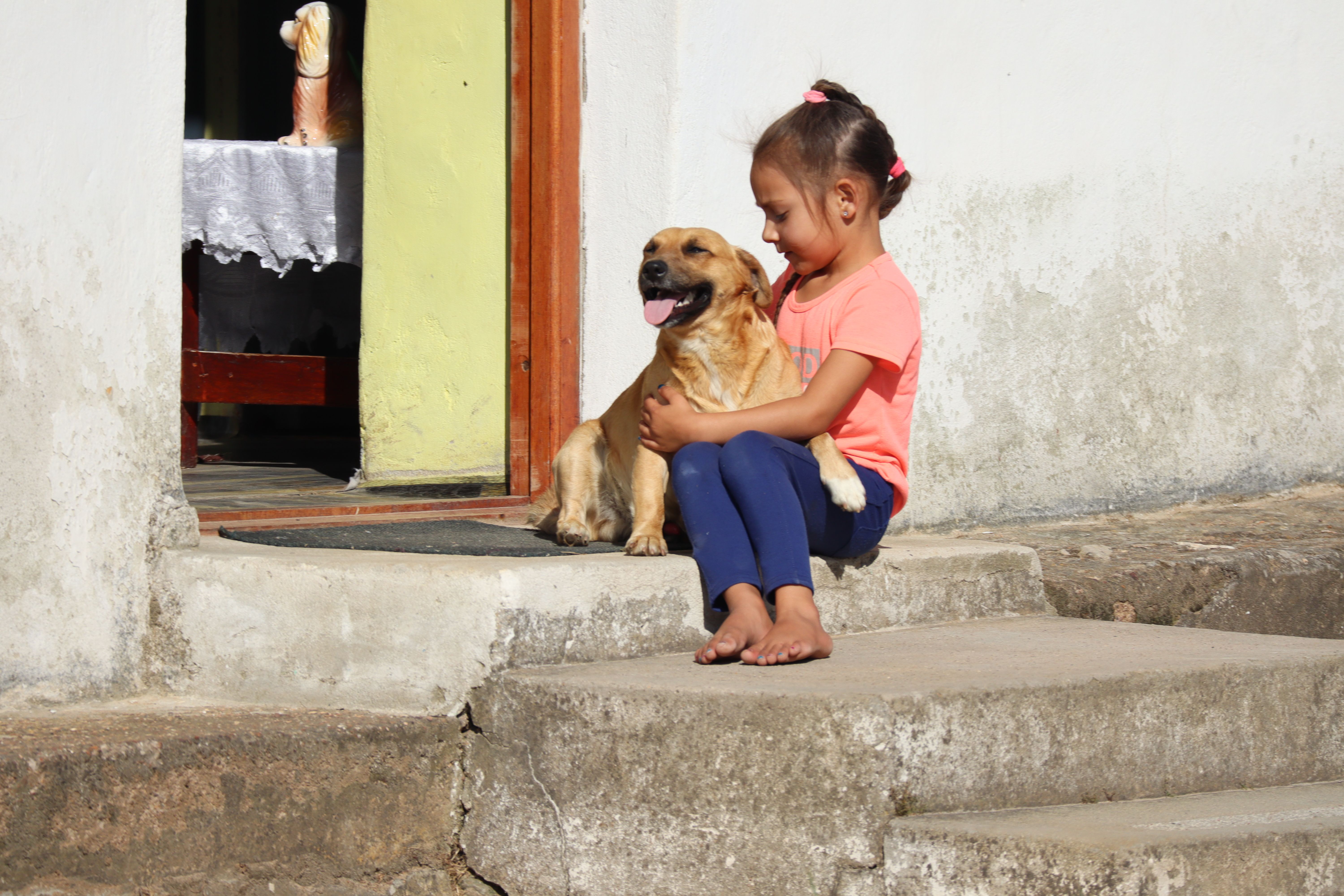 幼い少女が家の階段で、幸せそうな愛犬を抱きしめ、日差しを楽しんでいる。