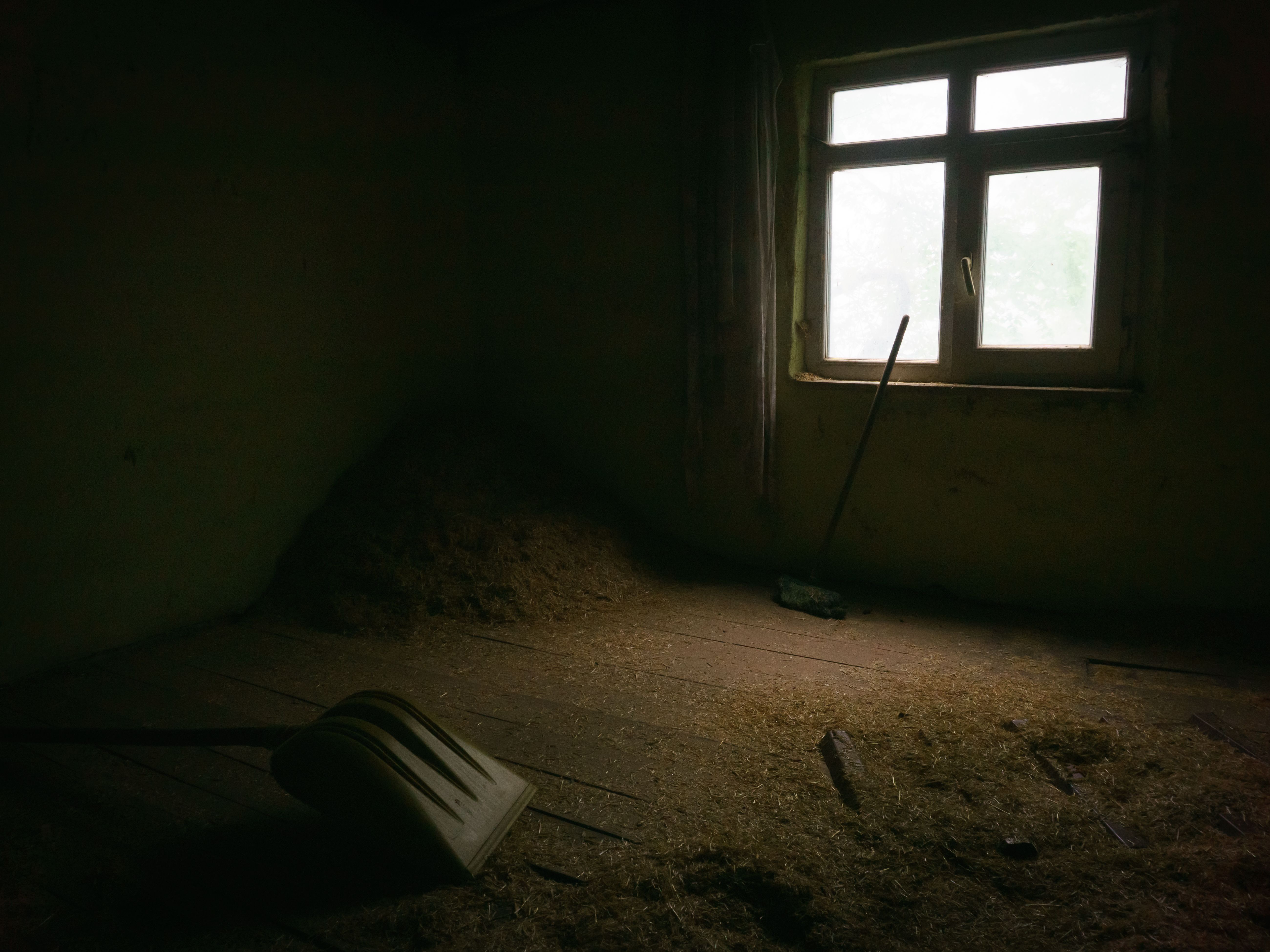 ‘Shoved the tube so hard it tore my nose’: Kurdish film-maker recounts ‘inhumane’ ICE forc