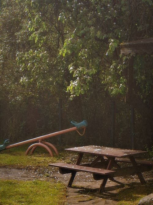 Free A rustic and tranquil outdoor park scene featuring a wooden picnic table and a seesaw surrounded by greenery. Stock Photo