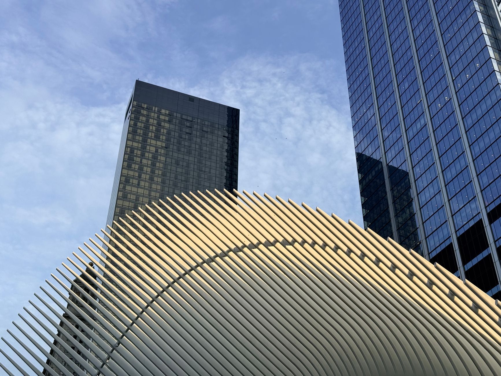 Dramatic view of modern architecture with towering skyscrapers in New York City.