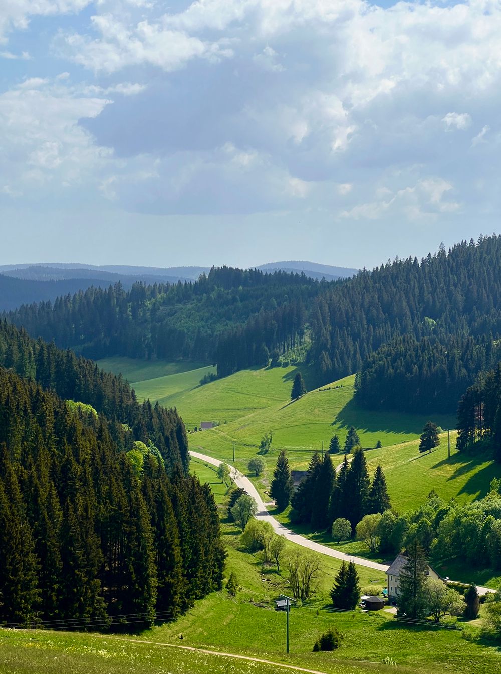 Black Forest & Titisee Day Trip